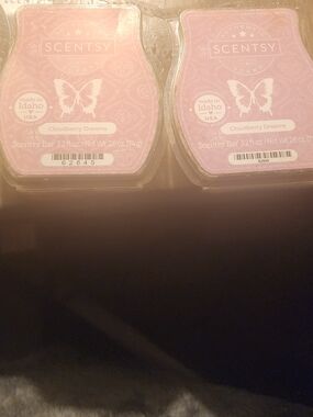 Scentsy Wax Melts - Not Makeup